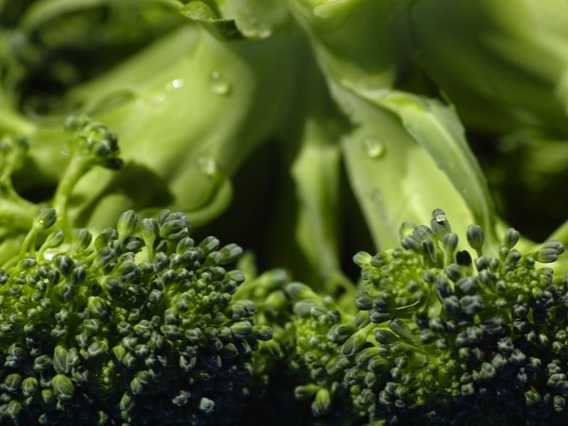 Is broccoli gezond
