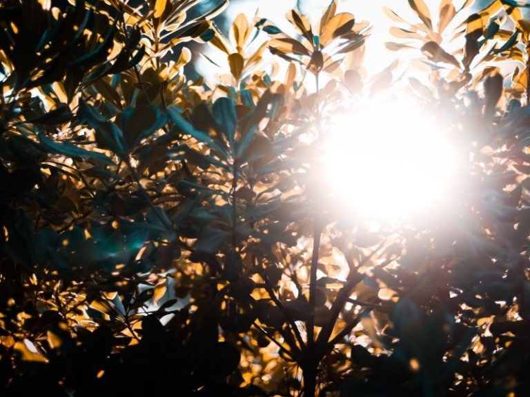 Verbrand door de zon? Dit moet je doen!